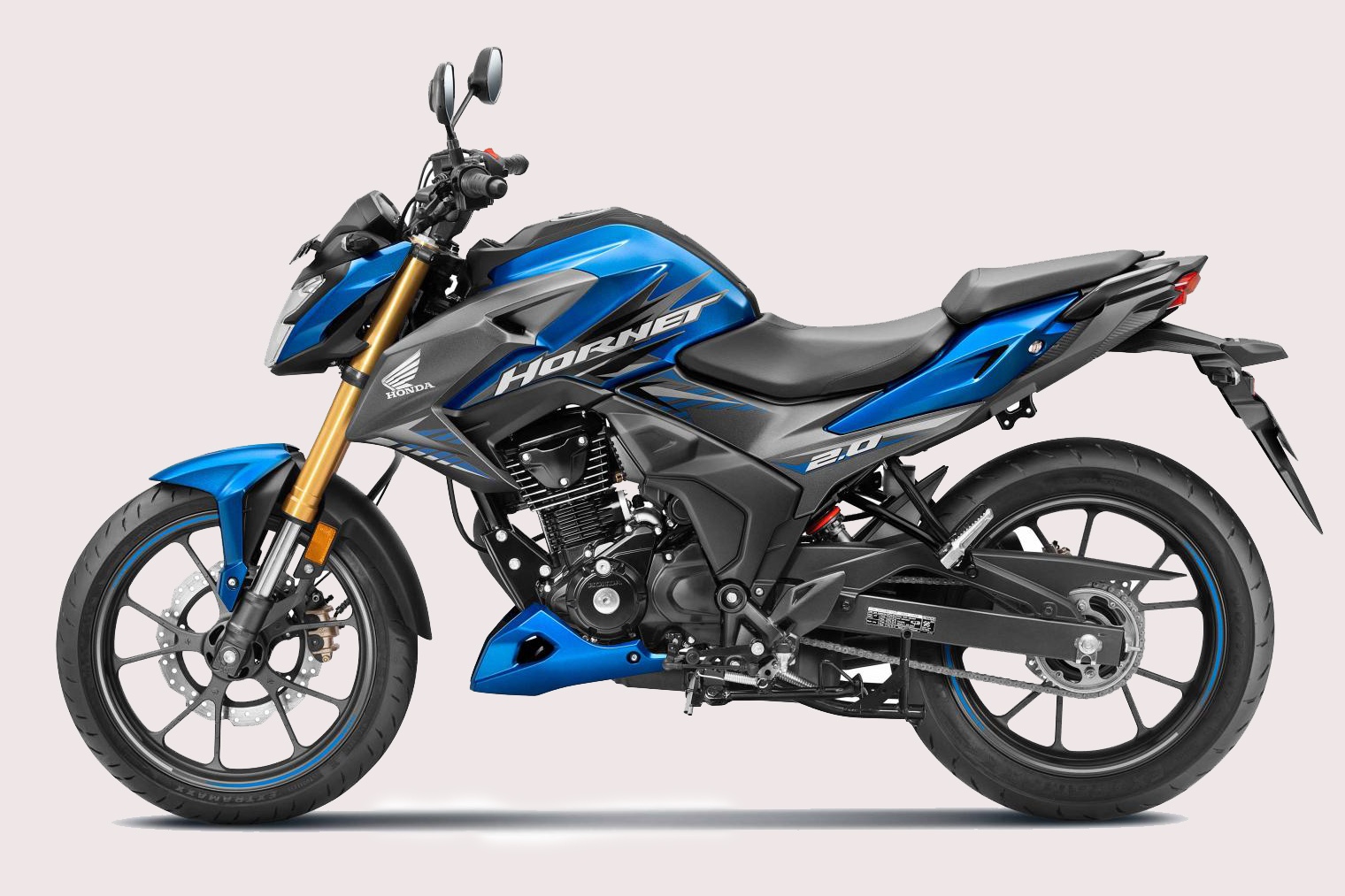 Honda Hornet 2.0 ra mat tai An Do hinh anh