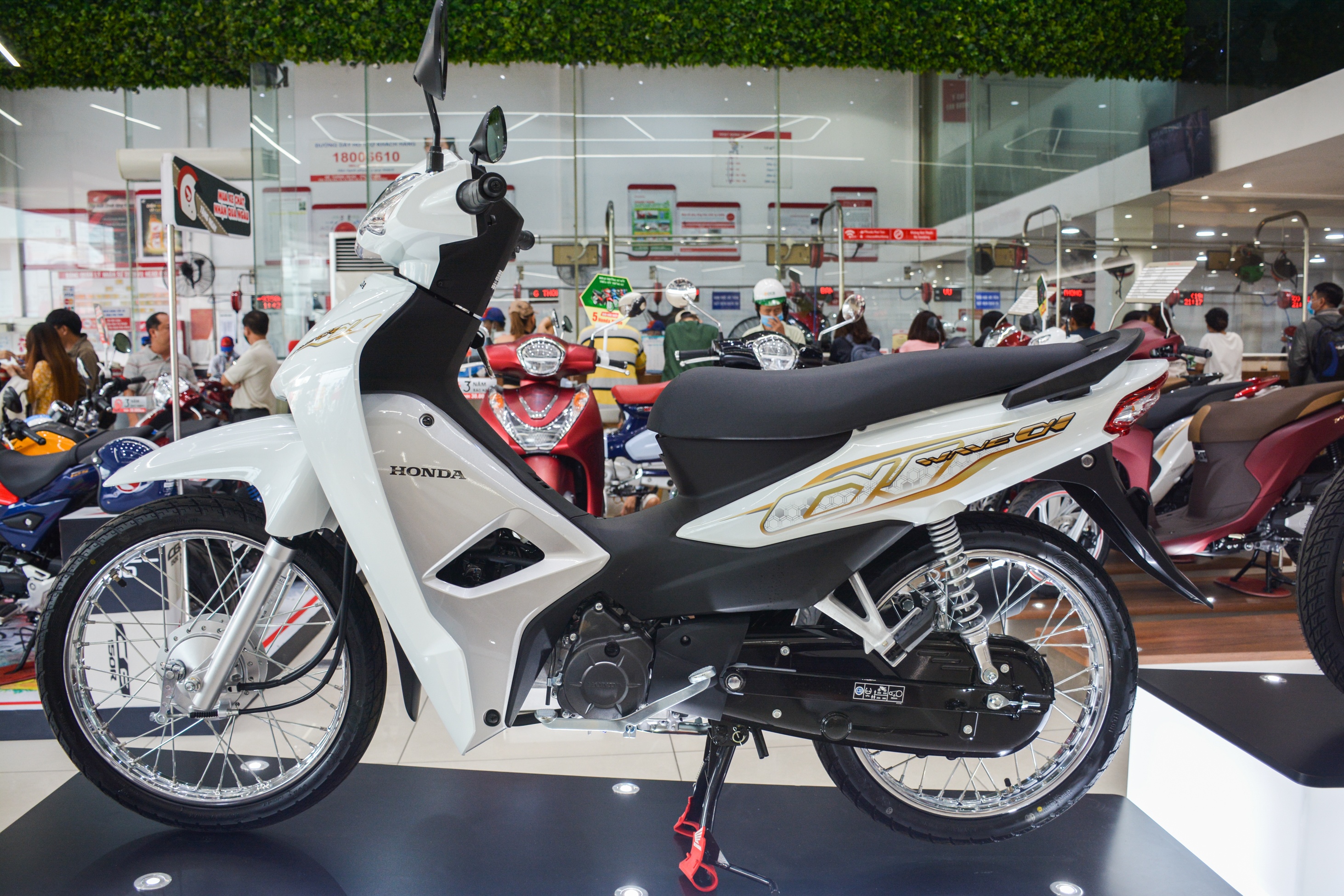 Honda Wave Alpha bị đội giá hơn 3 triệu đồng tại TP.HCM ảnh 1 Honda Wave Alpha bi doi gia hon 3 trieu dong tai TP.HCM anh 1