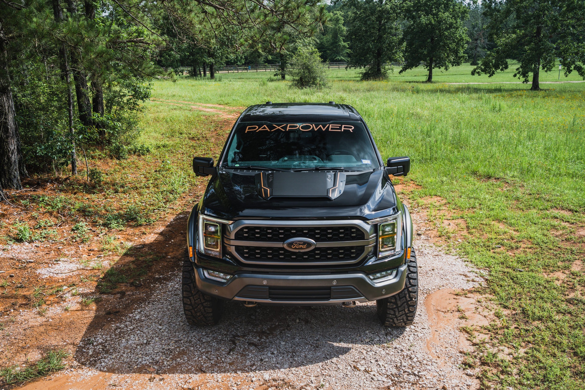 Ford F-150 voi goi do manh 770 ma luc anh 4