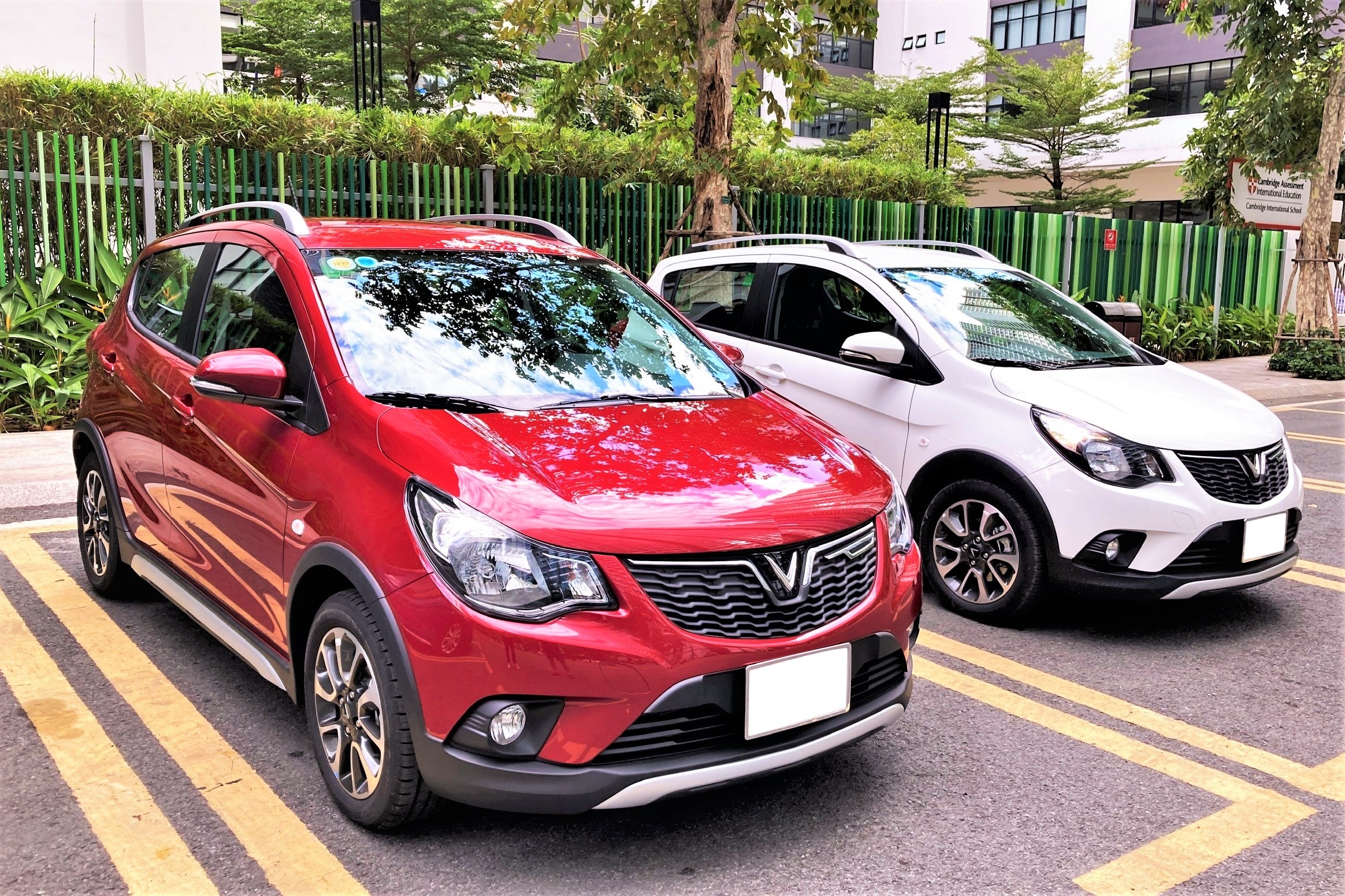 Cham soc xe mua dich sao cho dung cach? hinh anh