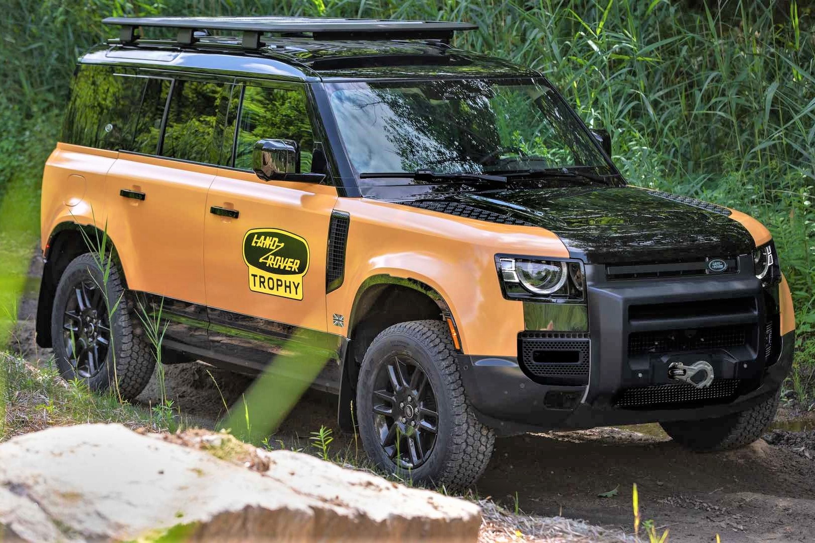 Land Rover Defender phien ban gioi han duoc tang kha nang off-road hinh anh