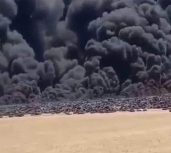 Nghia dia lop xe lon nhat the gioi boc chay hinh anh