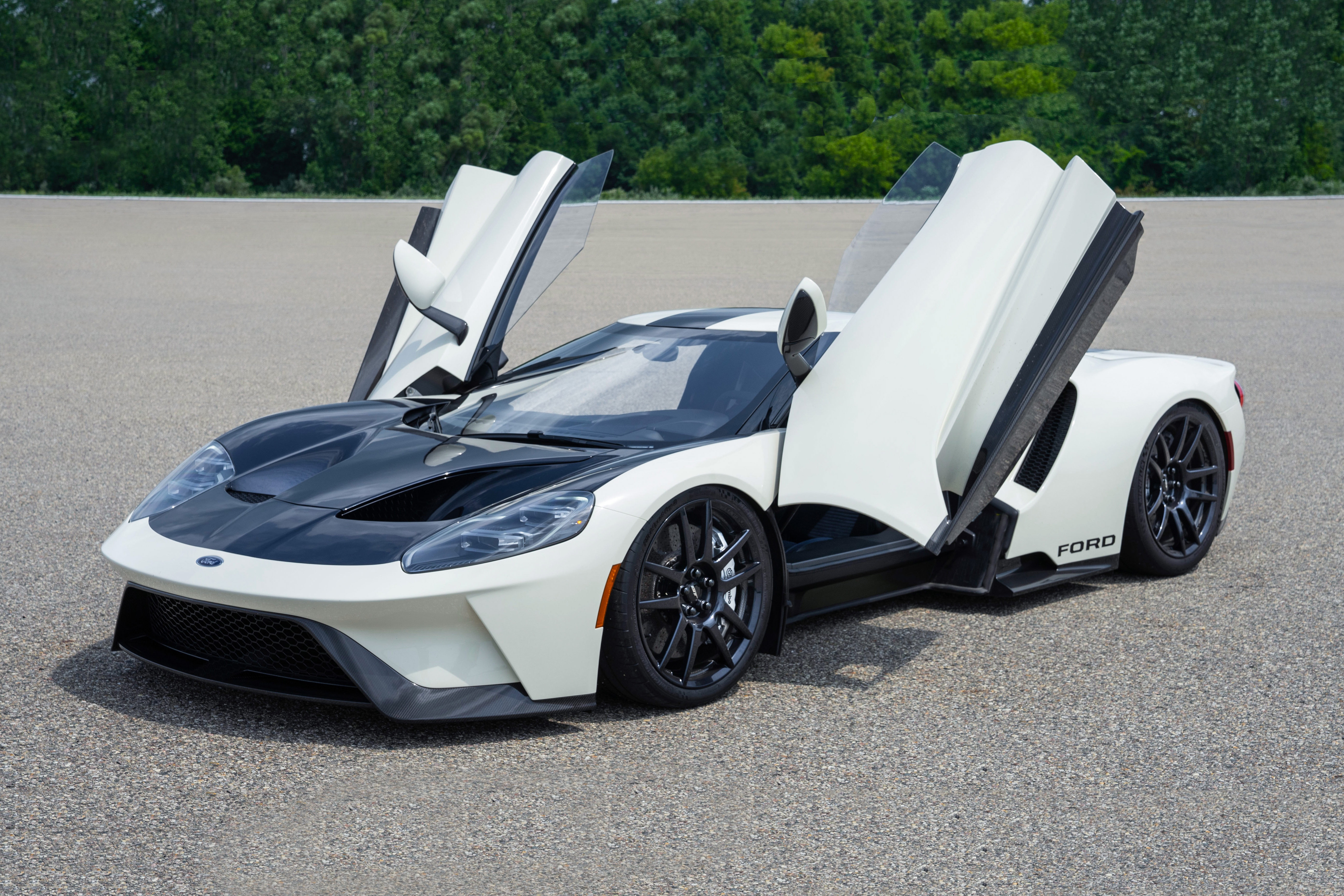 Ford GT '64 Heritage Edition ra mat, toc do toi da gan 350 km/h hinh anh