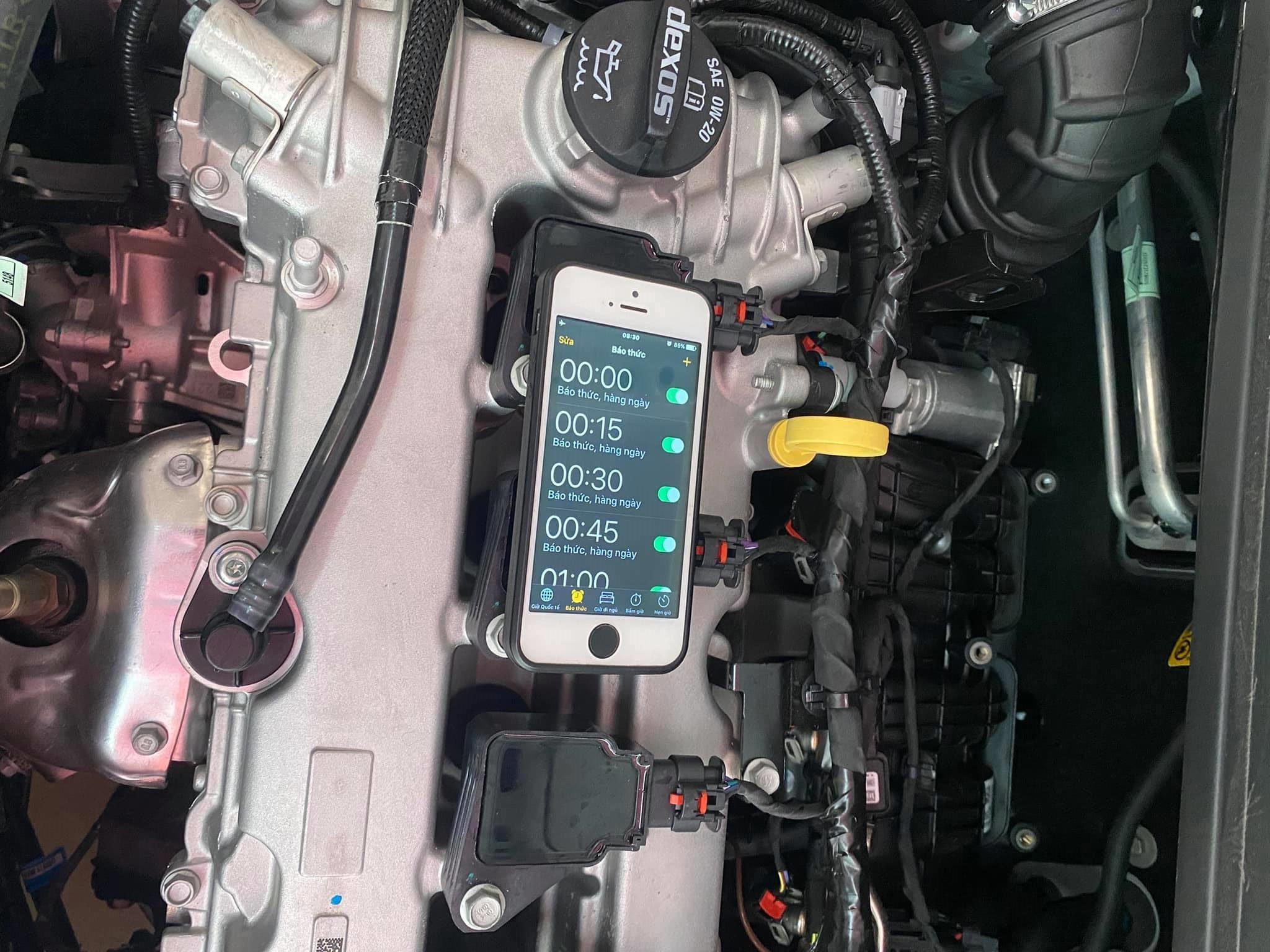 Dung tieng meo keu duoi chuot chui vao oto anh 1