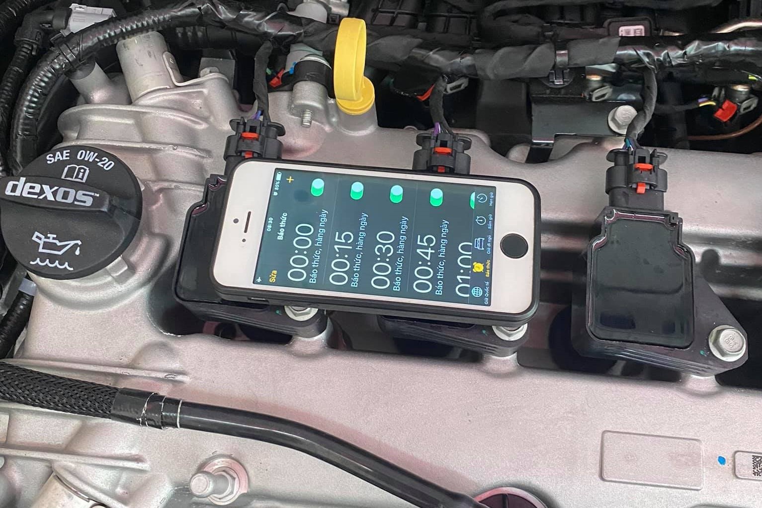 Dung tieng meo keu chong chuot chui vao oto hinh anh