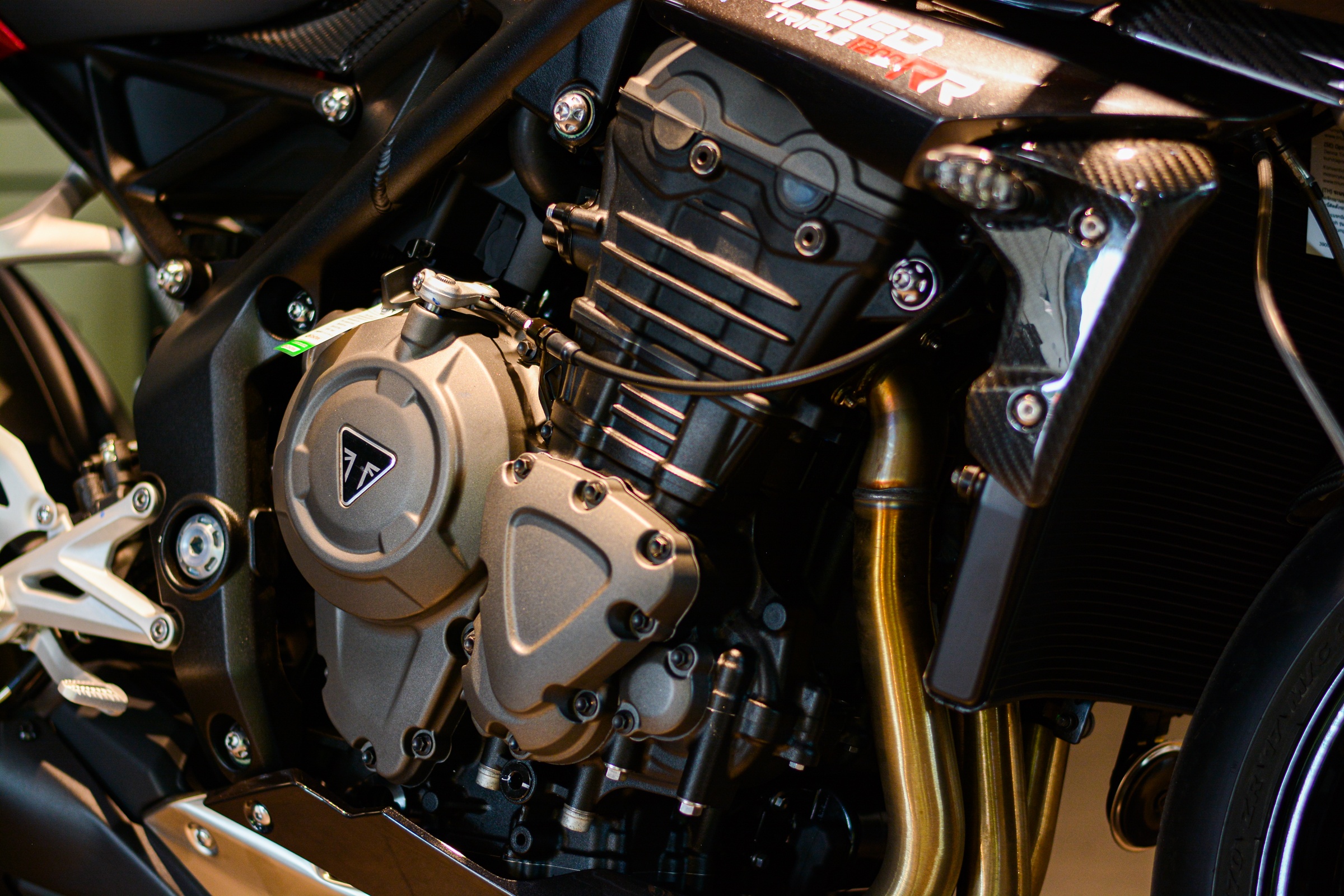 Triumph Speed Triple 1200 RR vua ve Viet Nam anh 16