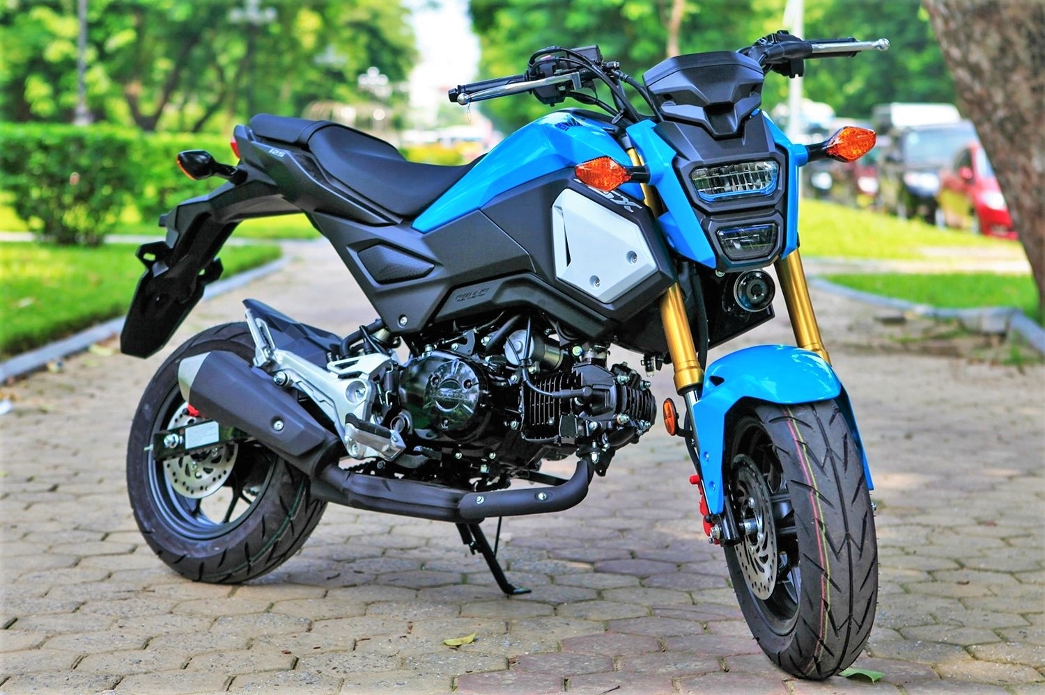 Honda Viet Nam khai tu 2 mau xe may hinh anh