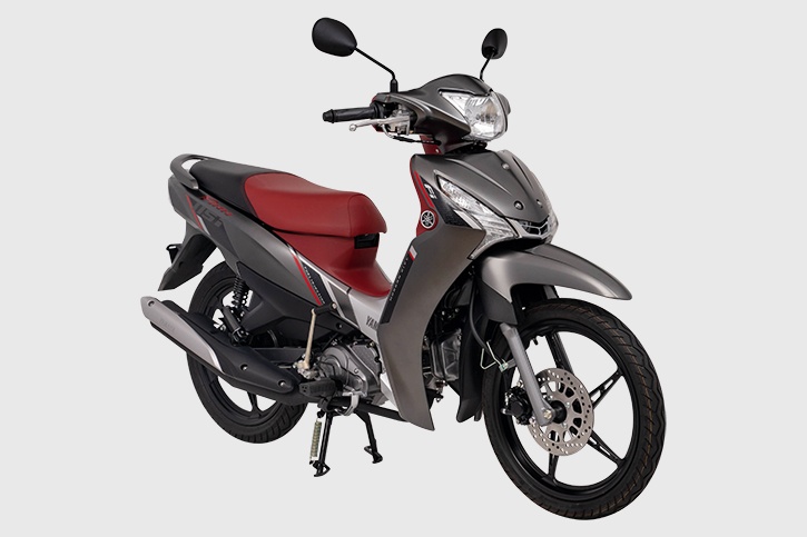 Loat xe may du kien ve Viet Nam trong nam nay hinh anh