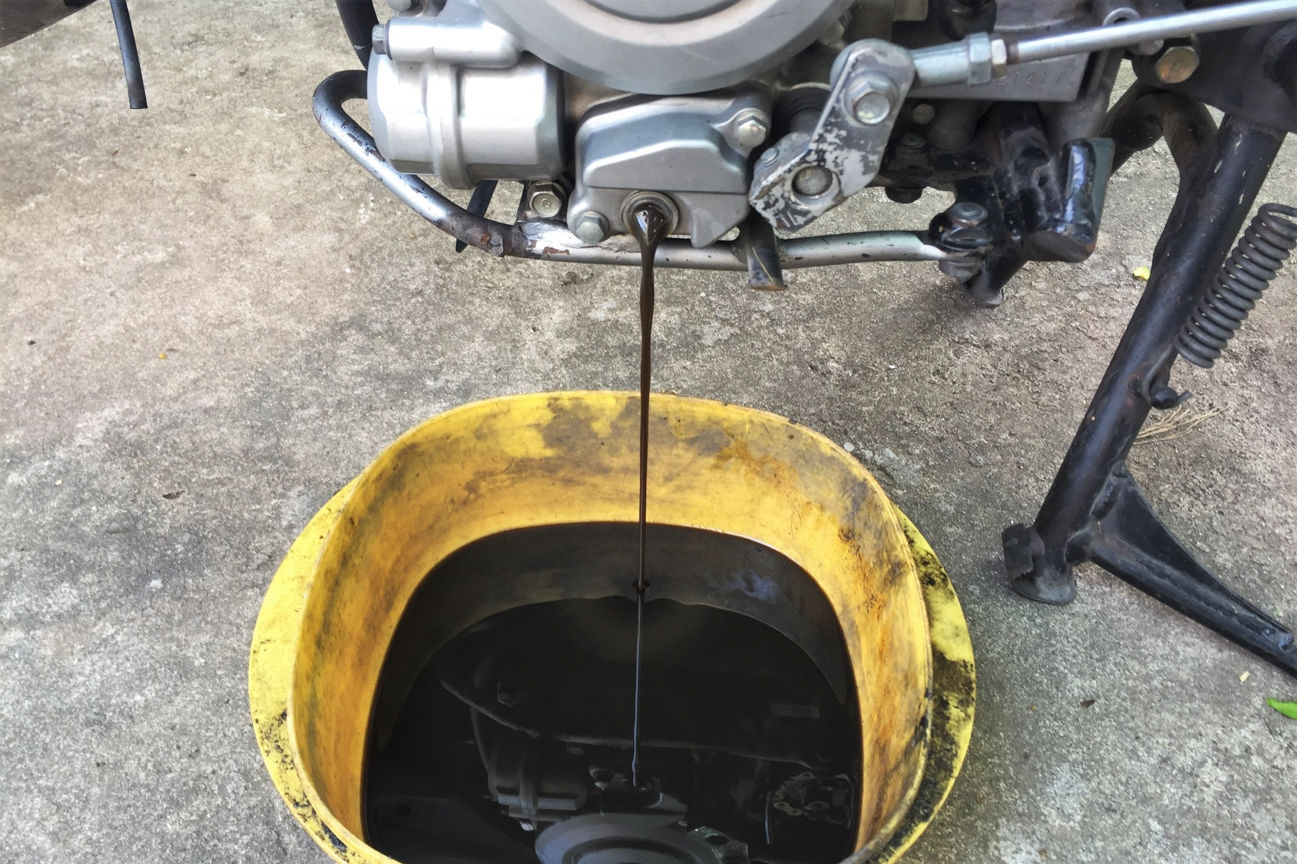 Mua dau dong co xe can quan tam gi anh 1