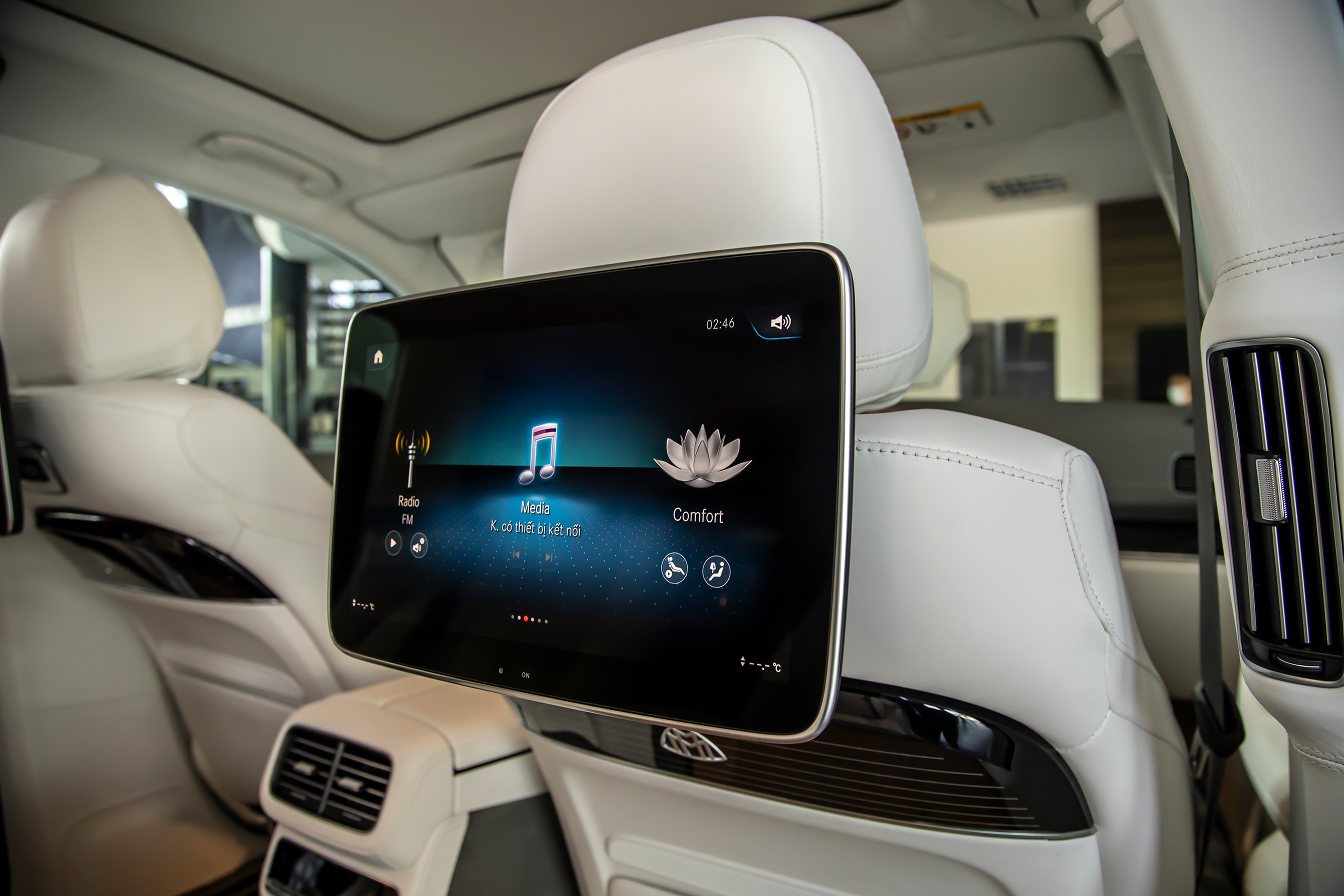 Mercedes-Maybach GLS 600 ban ky niem dac biet tai Viet Nam anh 10