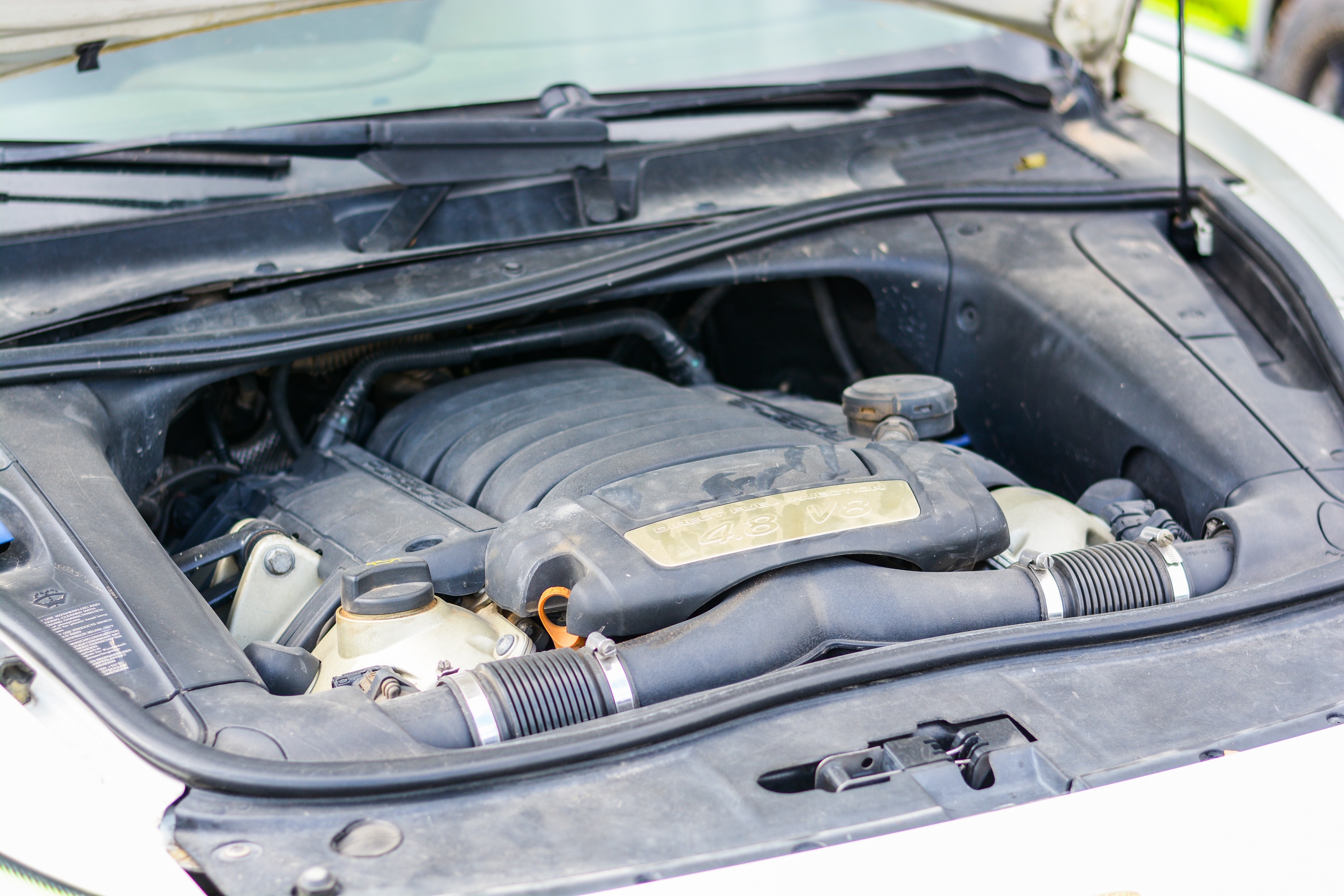 Porsche Cayenne chay off-road anh 8