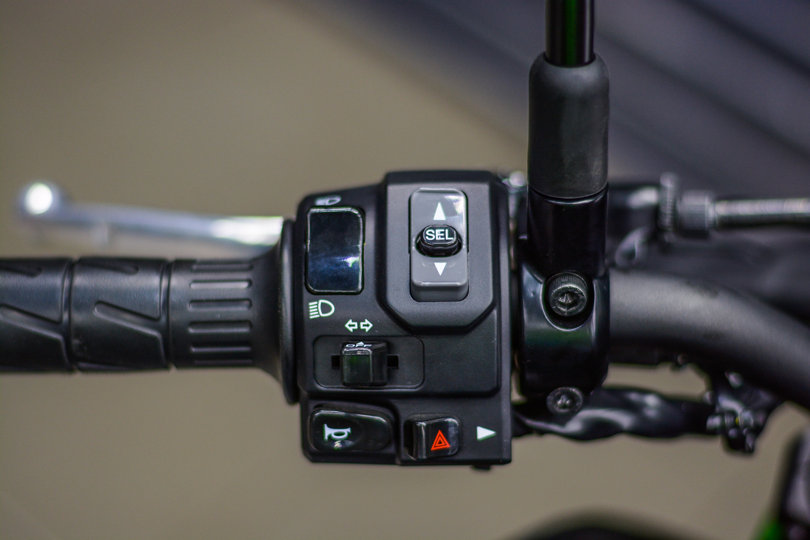 Z900 the he moi anh 6