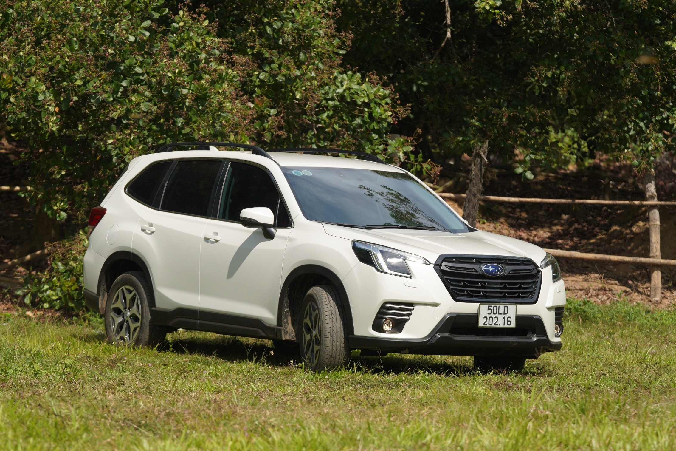 Danh gia Subaru Forester 2023 anh 5