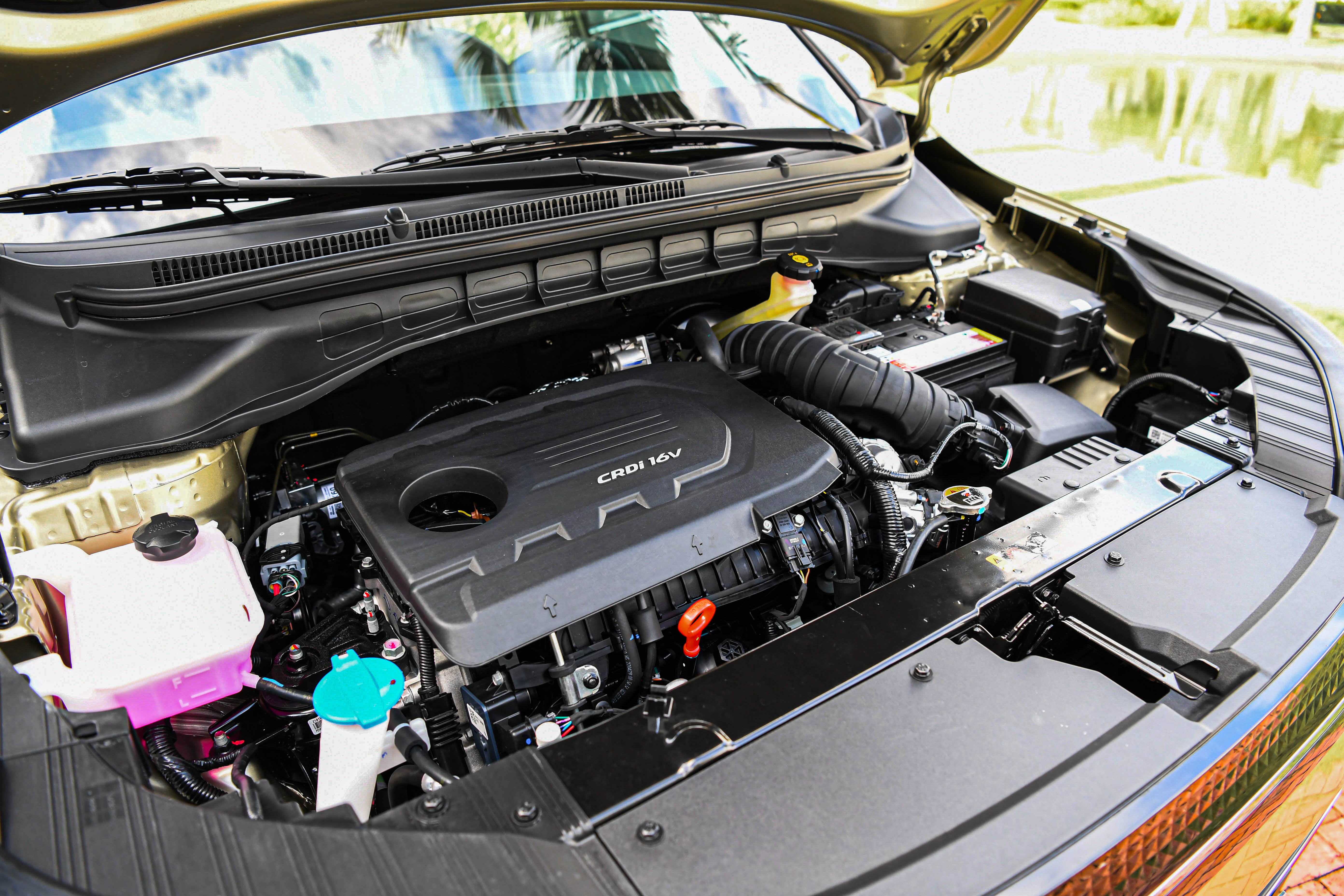 Carens phien ban dat nhat anh 5