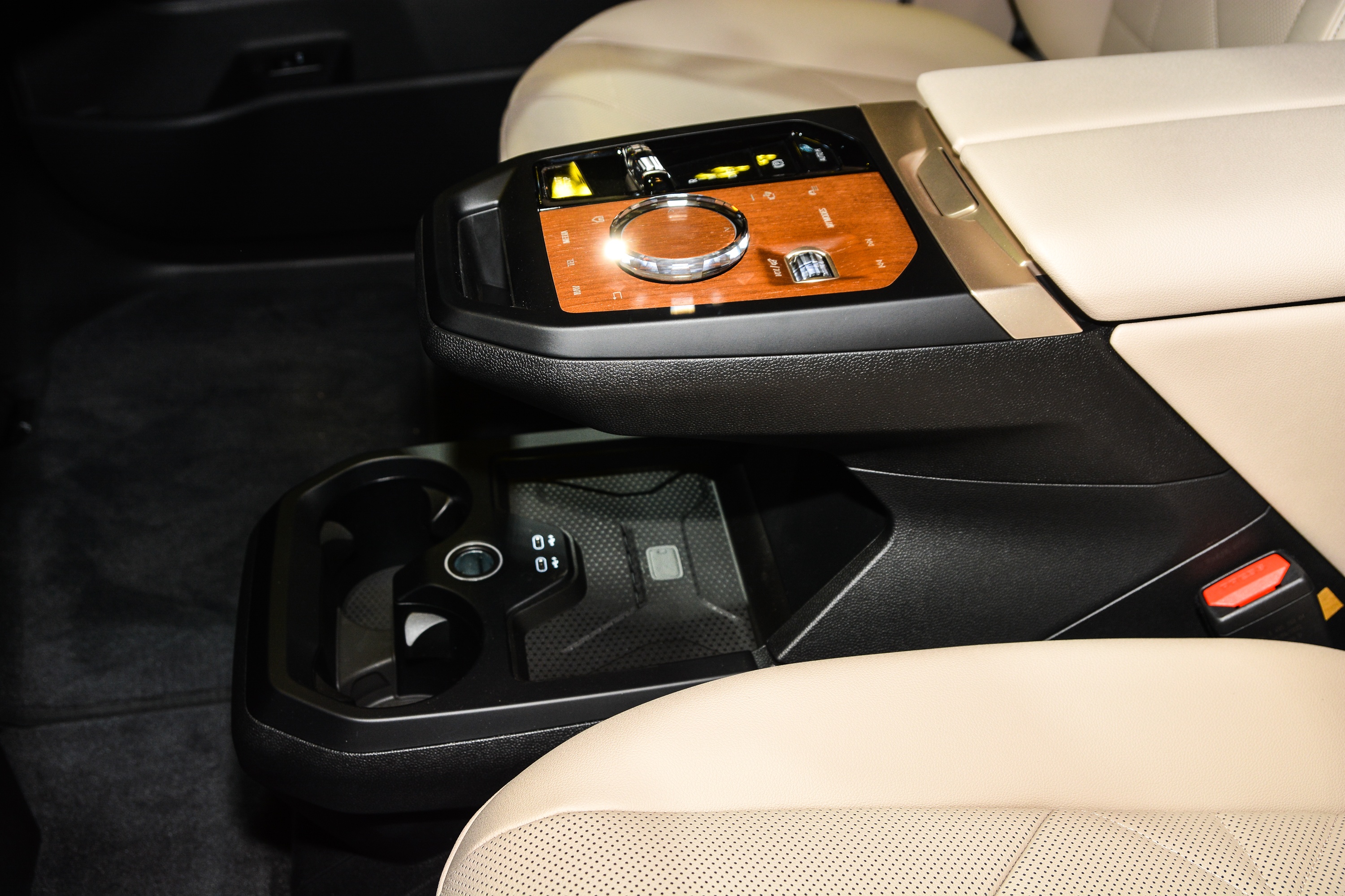 BMW iX xDrive40 Sport anh 12