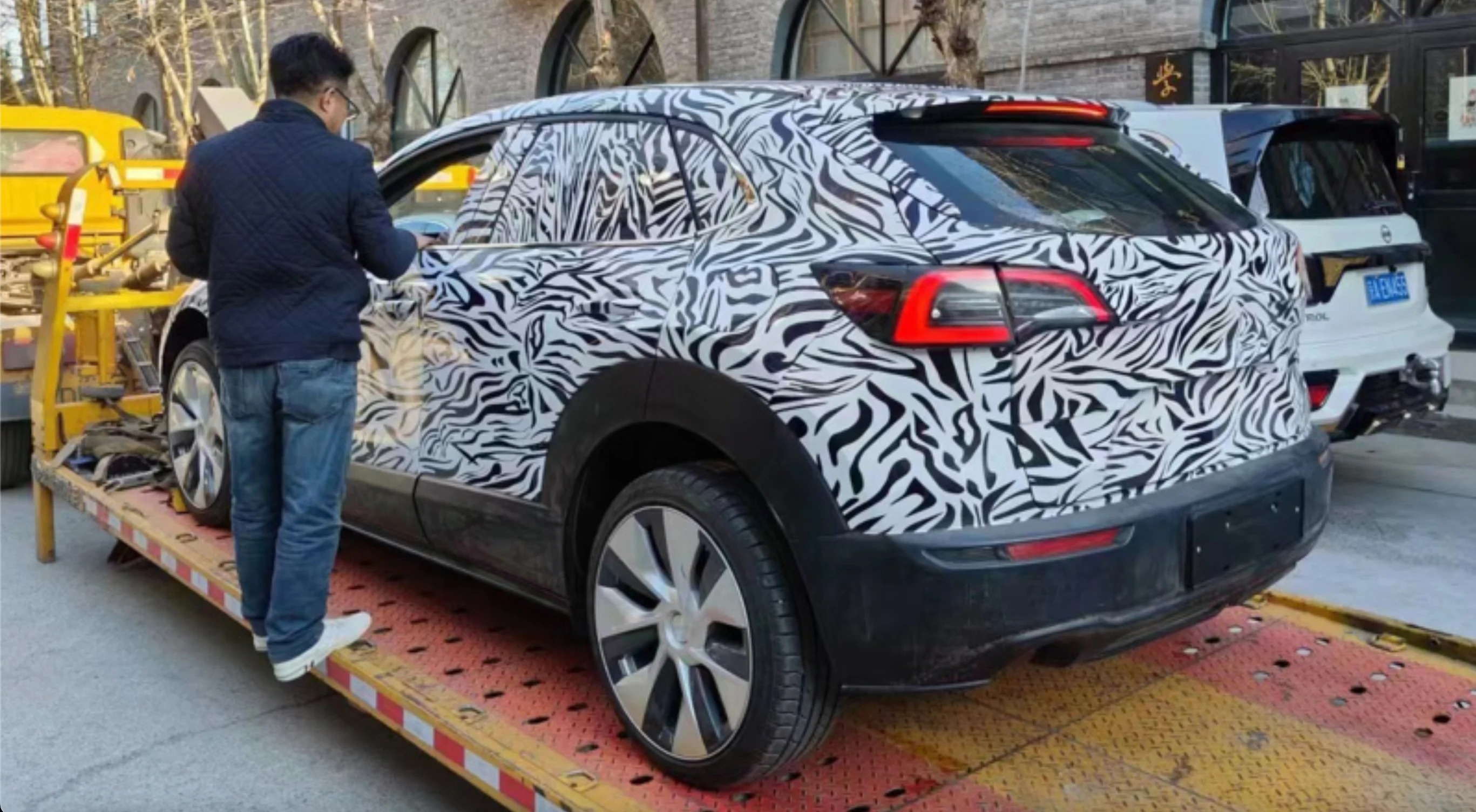 Tesla gia re xuat hien anh 2