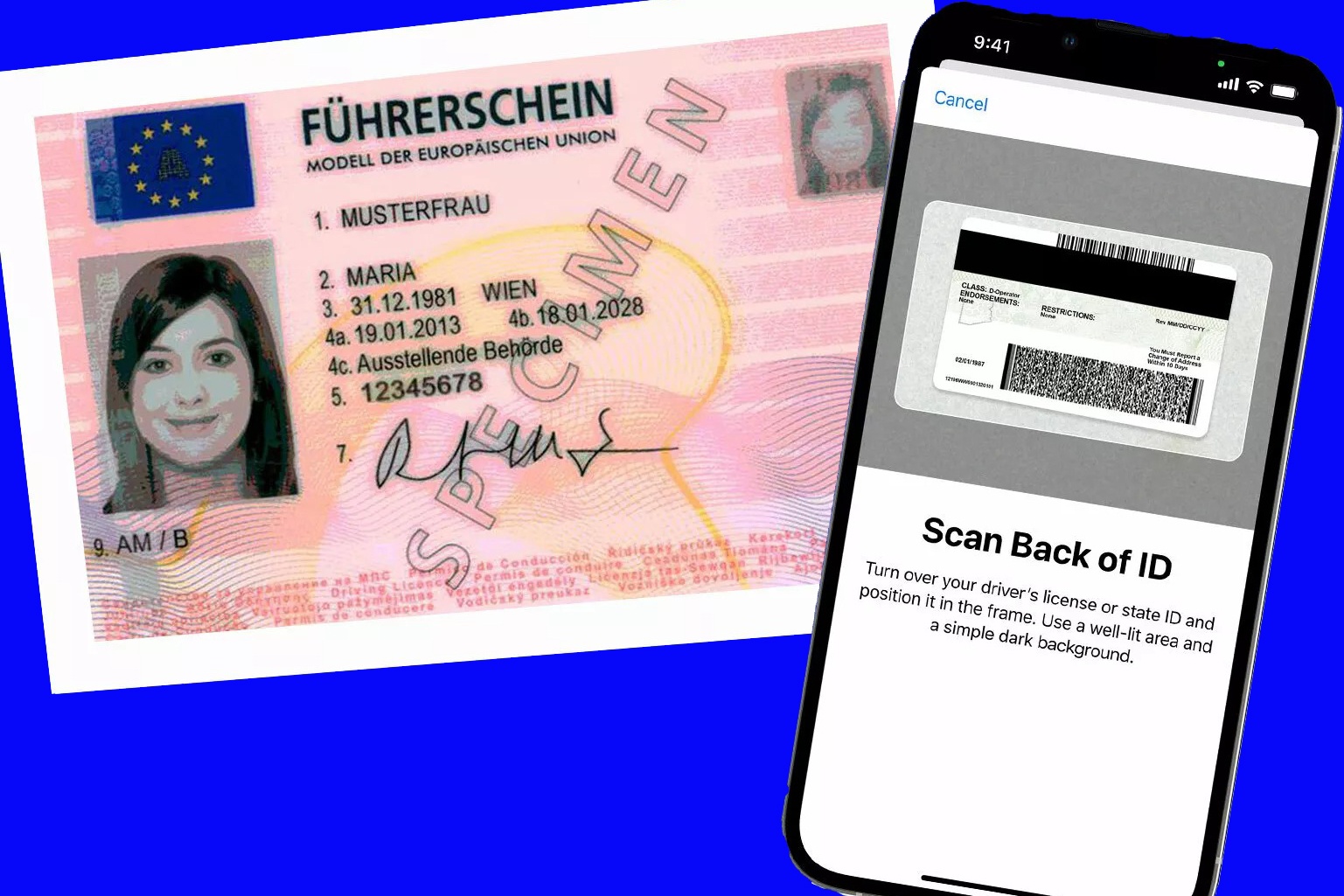 Chau Au sap dung giay phep lai xe dien tu hinh anh