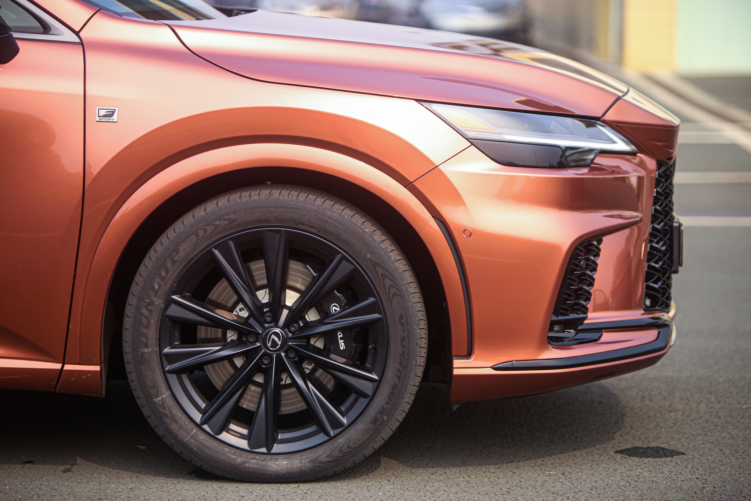 Lexus RX 500h 5 ty anh 3