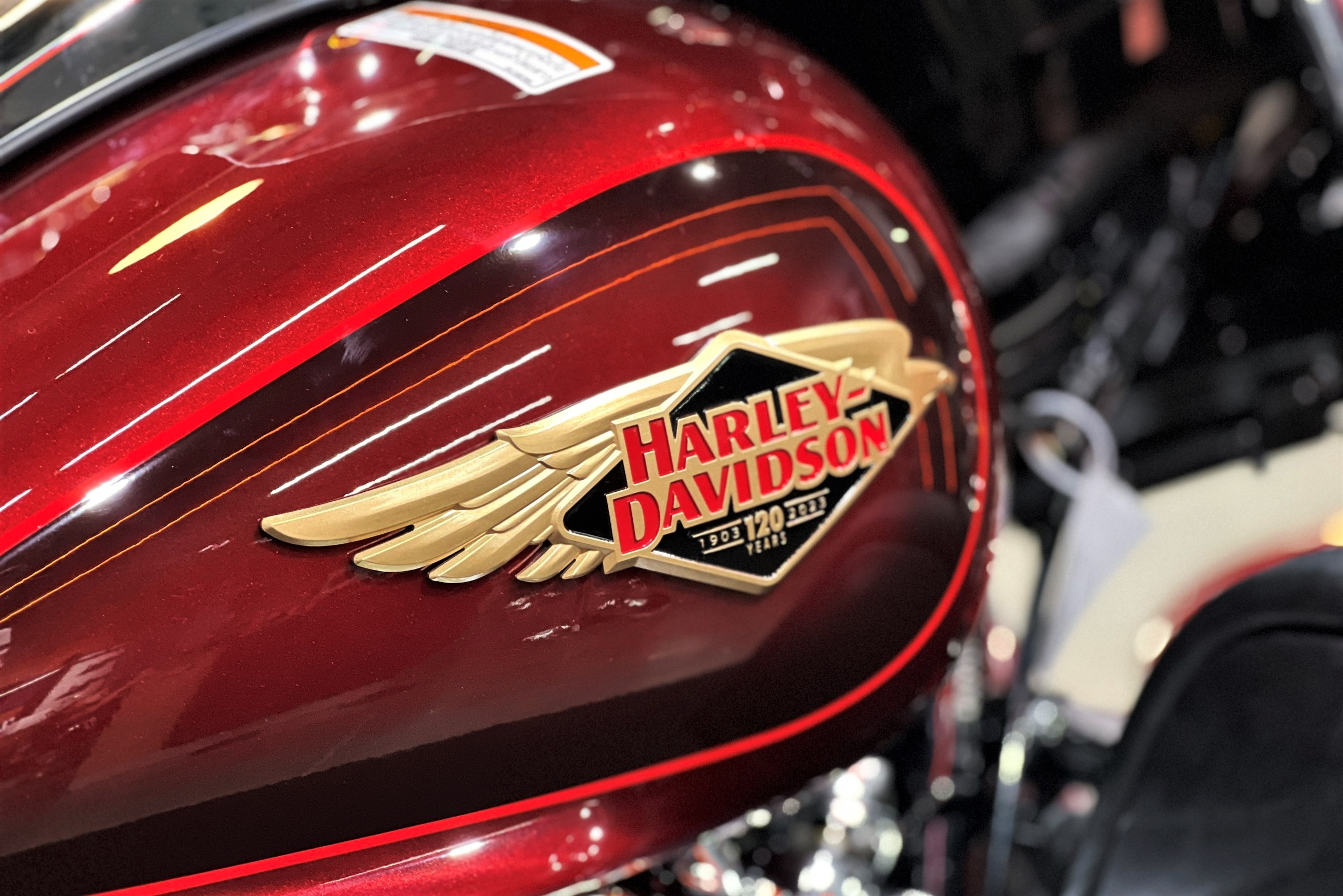 Harley-Davidson bản giới hạn ảnh 5 Harley-Davidson ban gioi han anh 5