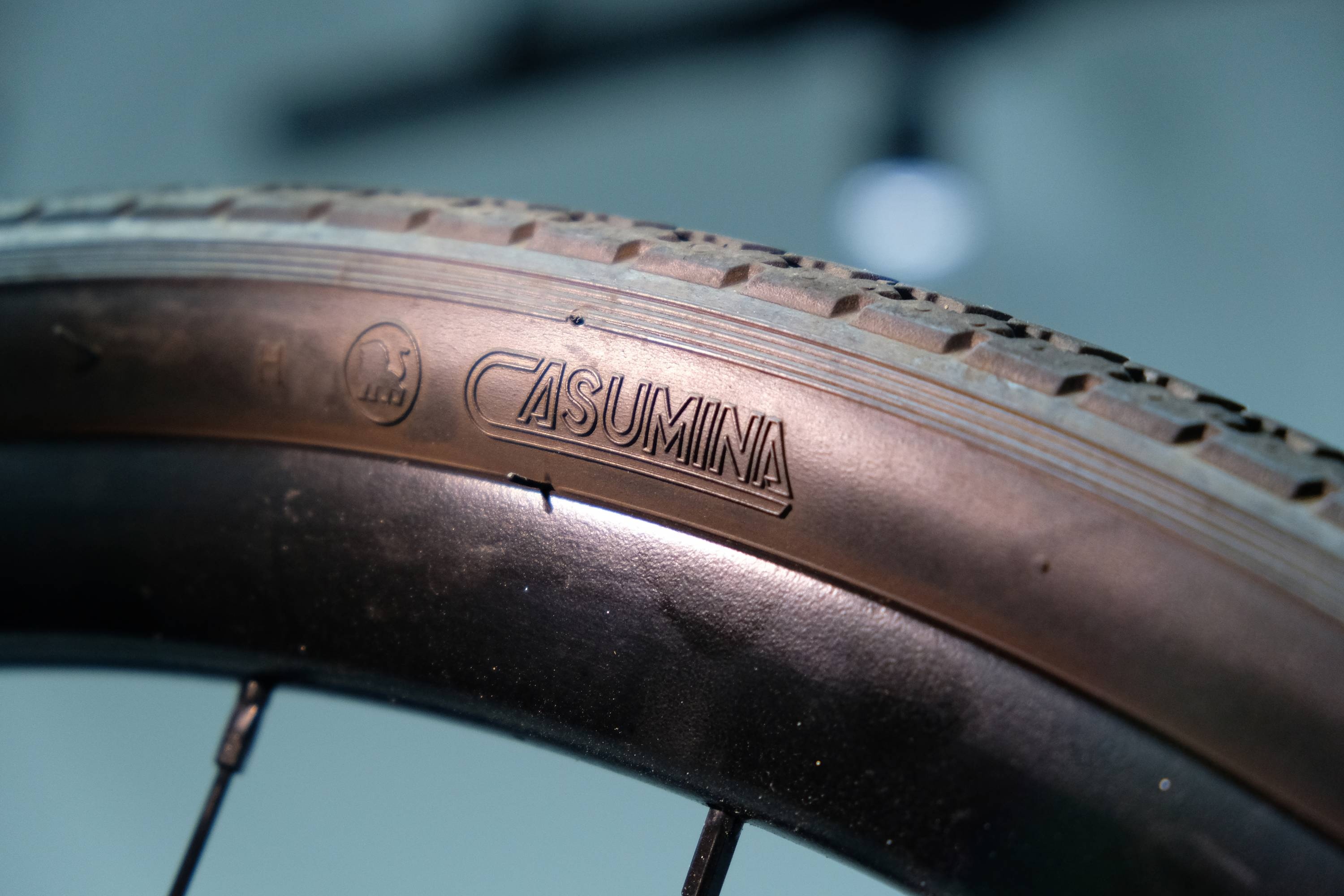 xe dap in 3D carbon anh 6