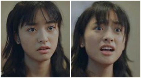 sao hoa ngu,  luu diec phi anh 5