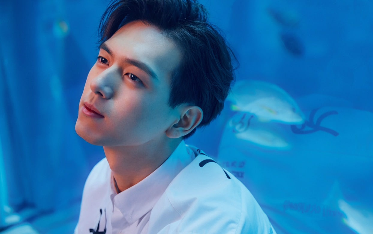 7 nam dien vien trien vong cua man anh Hoa ngu 2019 hinh anh