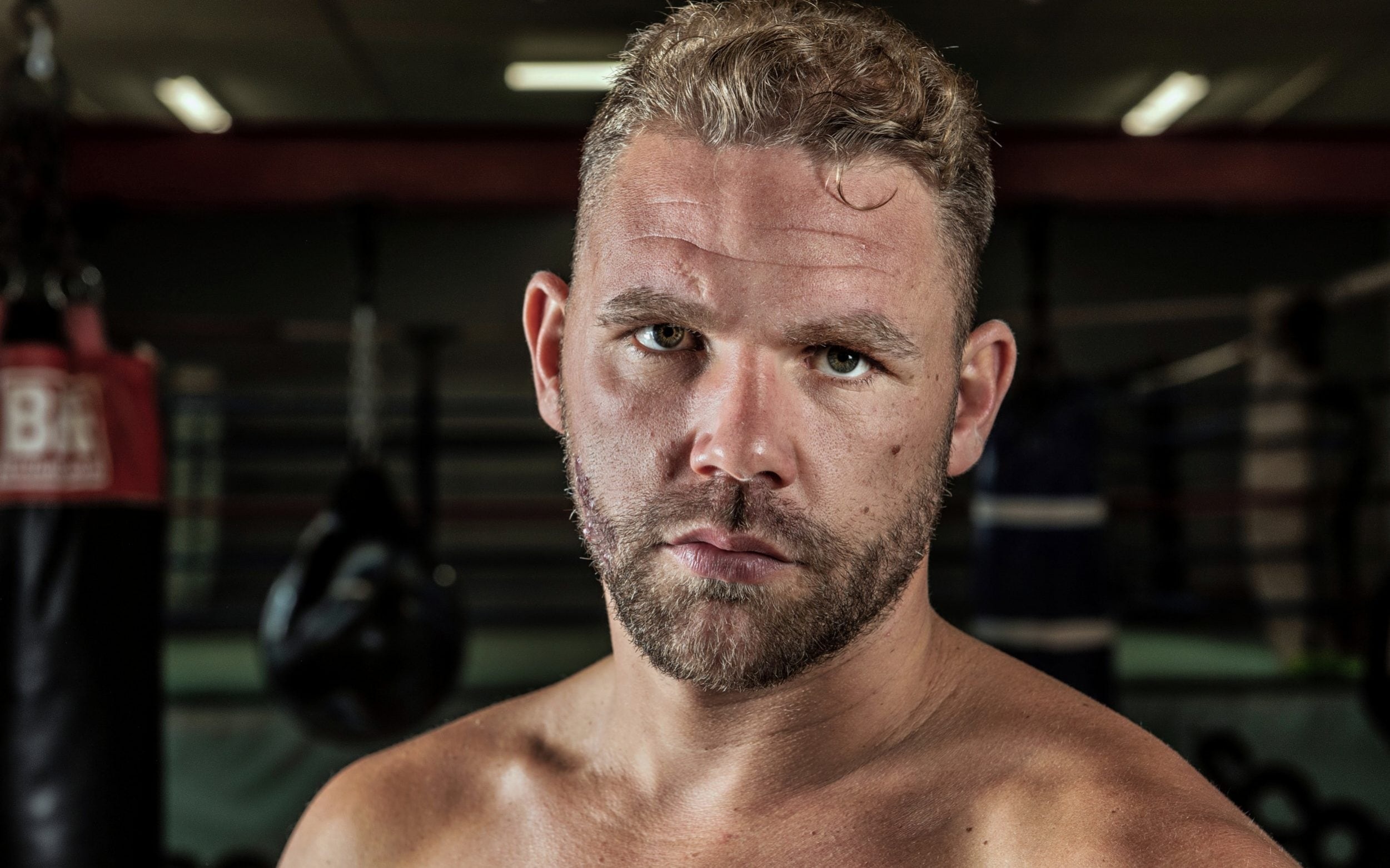 Nha vo dich WBO bi tuoc giay phep quyen anh hinh anh