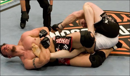 5 man khoa siet an tuong trong UFC hinh anh