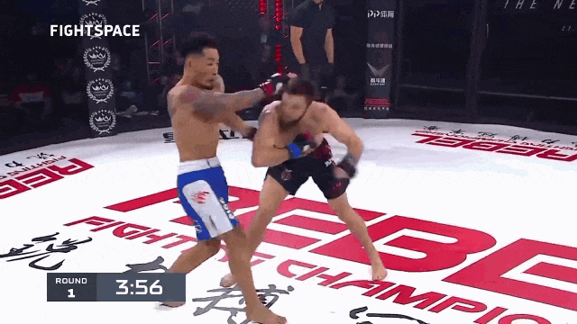 Vo si MMA knock-out doi thu trong the quay lung hinh anh