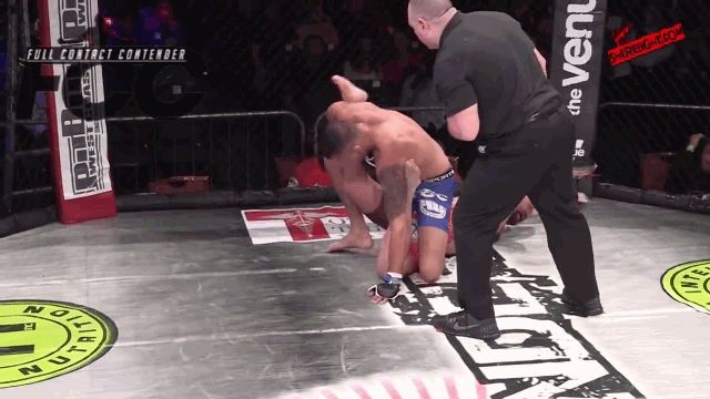 Vo si MMA ha guc doi thu bang don 'be cang' trong WWE hinh anh