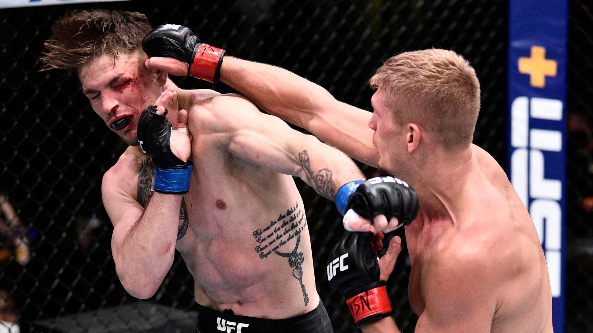 Vo si UFC xin huan luyen vien bo cuoc hinh anh