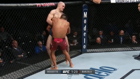 Nhung pha knock-out bang don danh vat trong MMA hinh anh