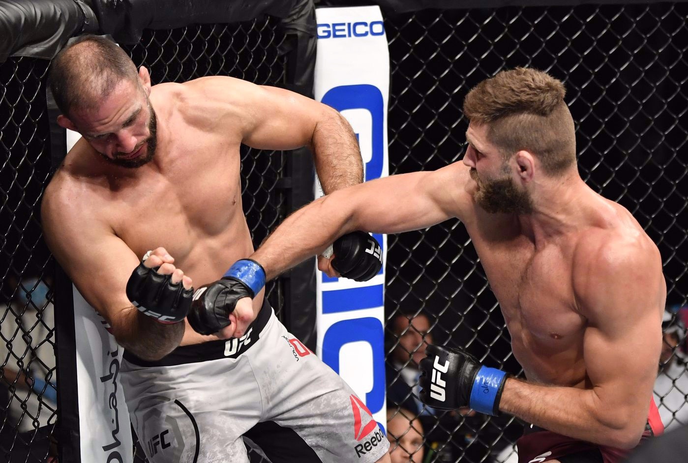 Vo si UFC knock-out doi thu bang 2 cu dam hinh anh