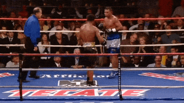 Nhung tran quyen anh knock-out bang mot cu dam hinh anh