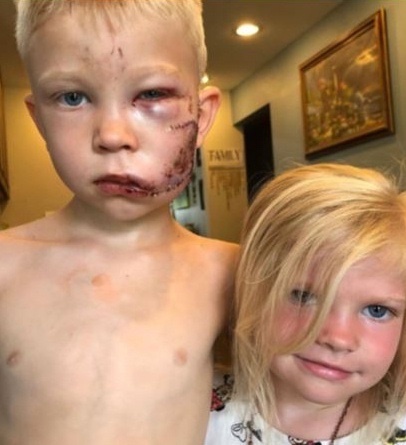 Bridger Walker anh 1