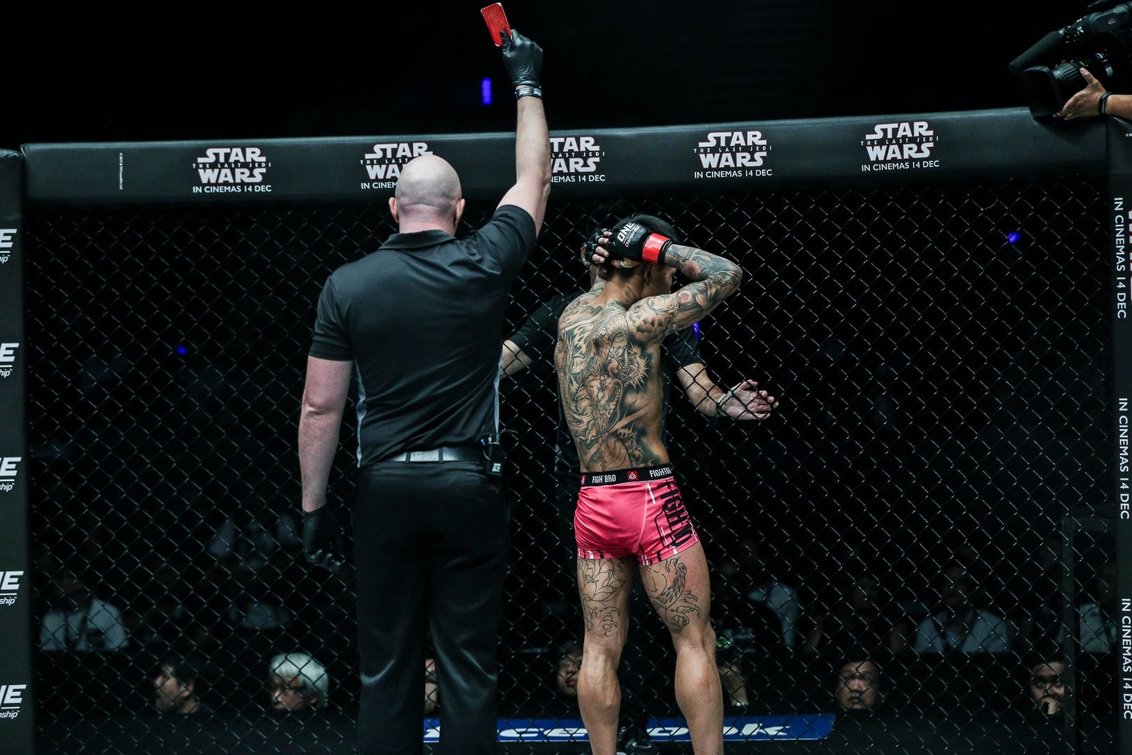 Nhung vo si MMA bi xu thua du ha guc doi thu hinh anh