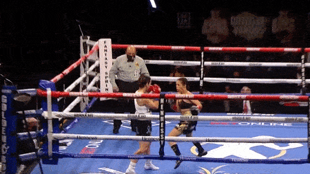 Nu vo si tung cu dam ha knock-out doi thu sau 7 giay hinh anh