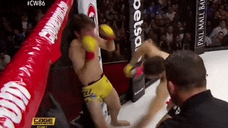 Vo si thua knock-out khi tan cong doi thu hinh anh