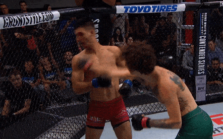 5 pha knock-out an tuong o Contender Series hinh anh