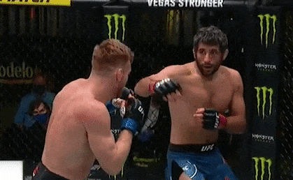 Pha xoay nguoi tung cu dam knock-out an tuong hinh anh