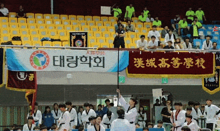 Nu vo sinh taekwondo bay nguoi da vo mieng go hinh anh