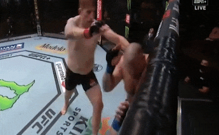 Pha len goi knock-out an tuong tai UFC 252 hinh anh