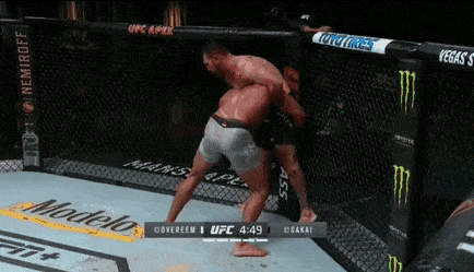 Cuu vo dich Overeem gianh chien thang nho 2 lan quat nga doi thu hinh anh