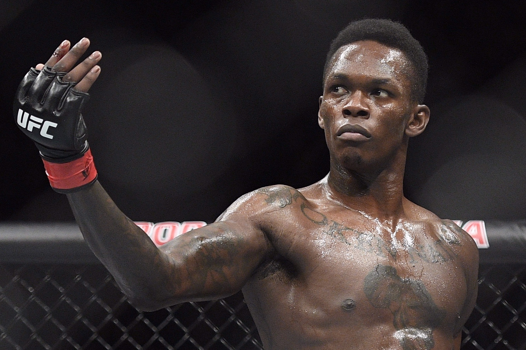 Israel Adesanya - vo si ke thua huyen thoai Anderson Silva hinh anh
