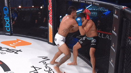 Vo si khien doi thu nga tren san dau hinh anh