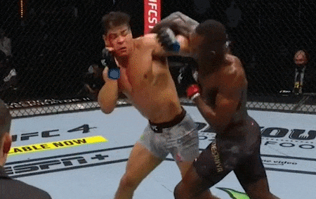 Nhung khoanh khac an tuong tai UFC 253 hinh anh