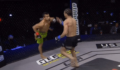 Vo si tung don goi knock-out doi thu sau 30 giay hinh anh