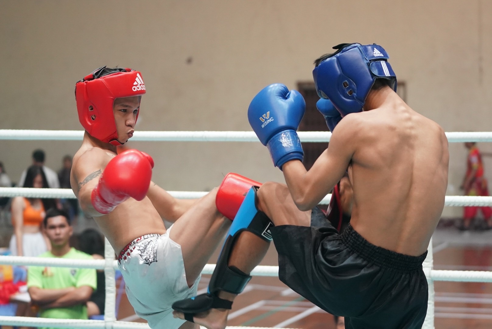 kickboxing anh 5