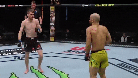 Nhung man knock-out tai UFC Fight Island 5 hinh anh