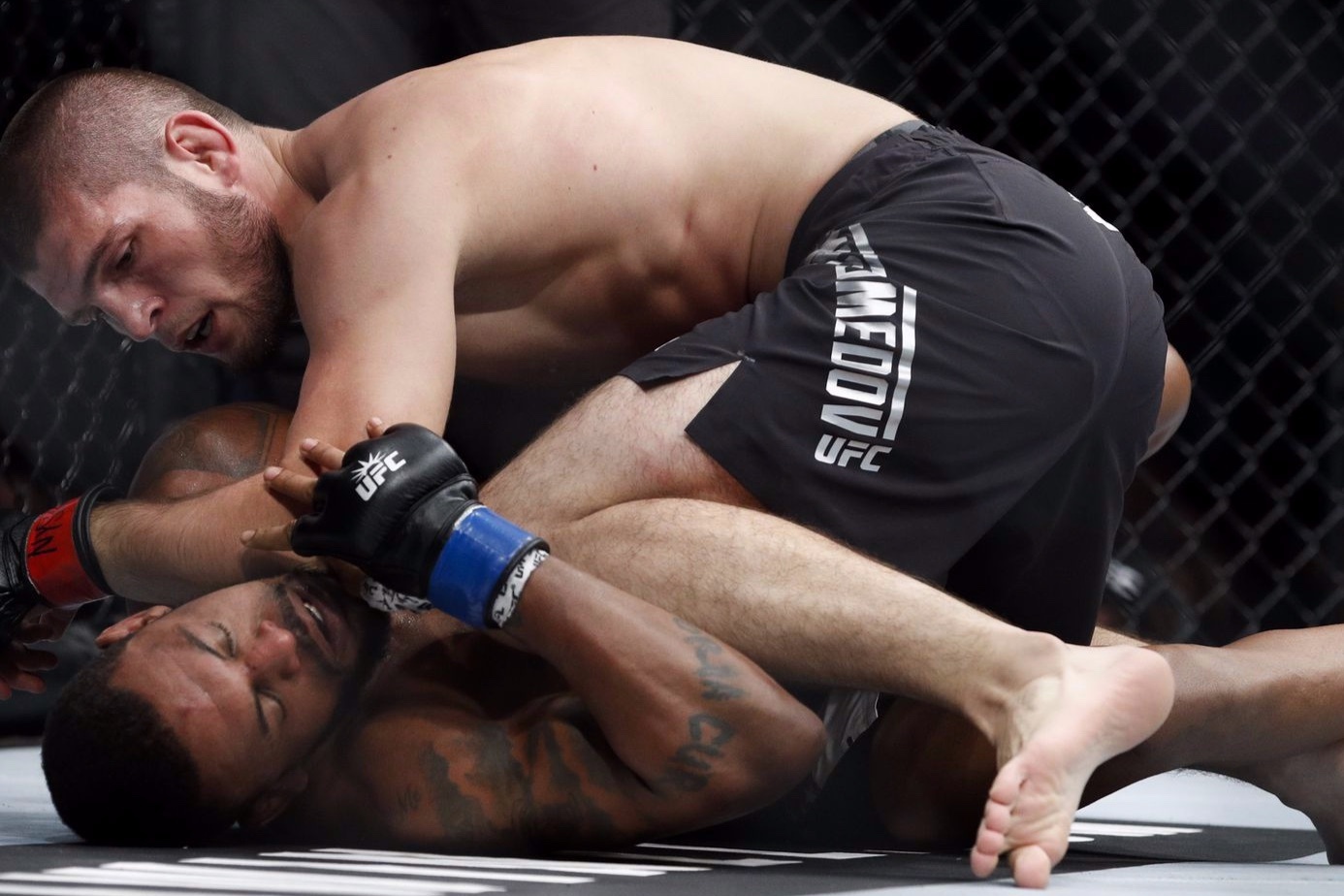 'Doi chan cua Khabib giong nhu be tong' hinh anh